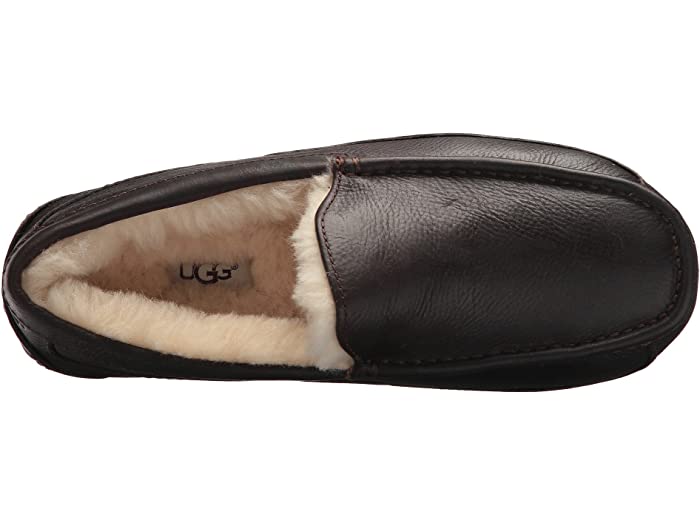 UGG Ascot Slipper China Tea Brown Leather Men's